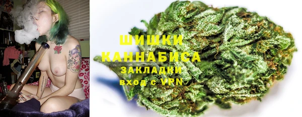 твердый Арсеньев