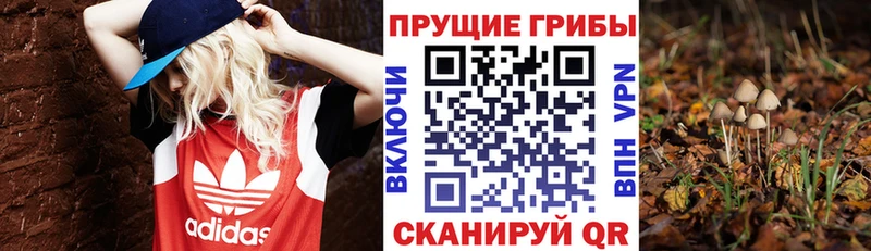 Псилоцибиновые грибы Magic Shrooms  Обоянь 