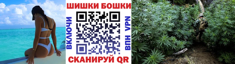 Канабис план  Обоянь 